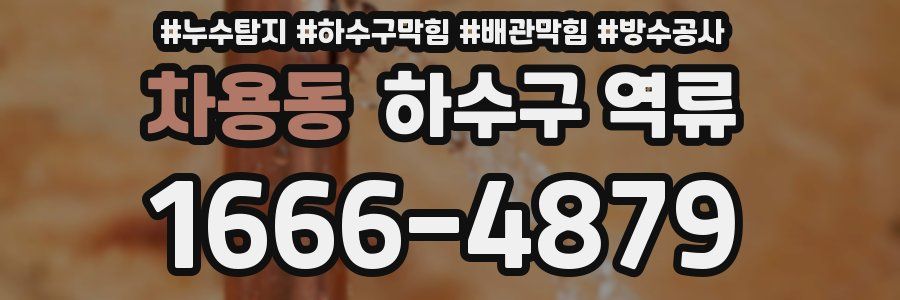 차용동 하수구 역류
