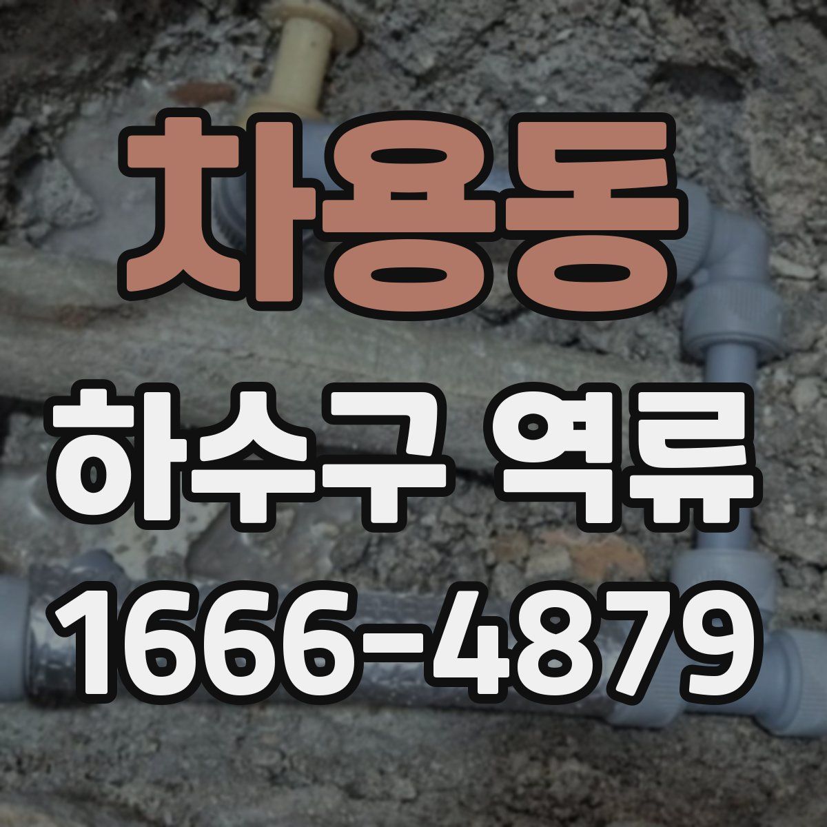 차용동 하수구 역류