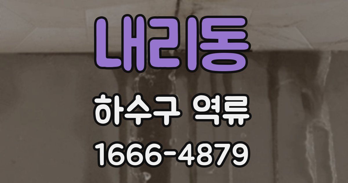 내리동 하수구 역류
