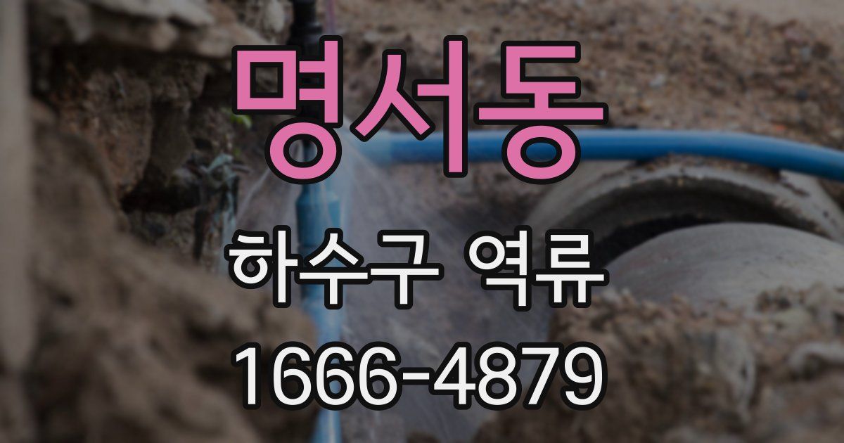 명서동 하수구 역류