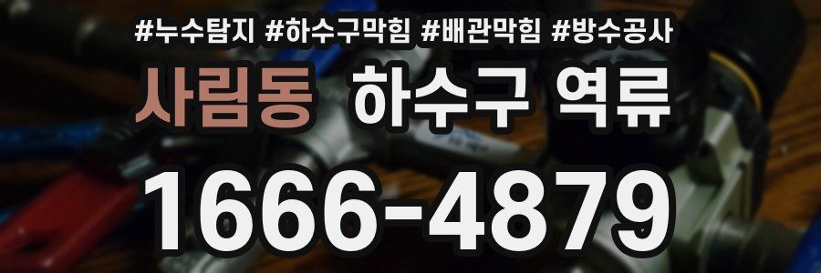 사림동 하수구 역류