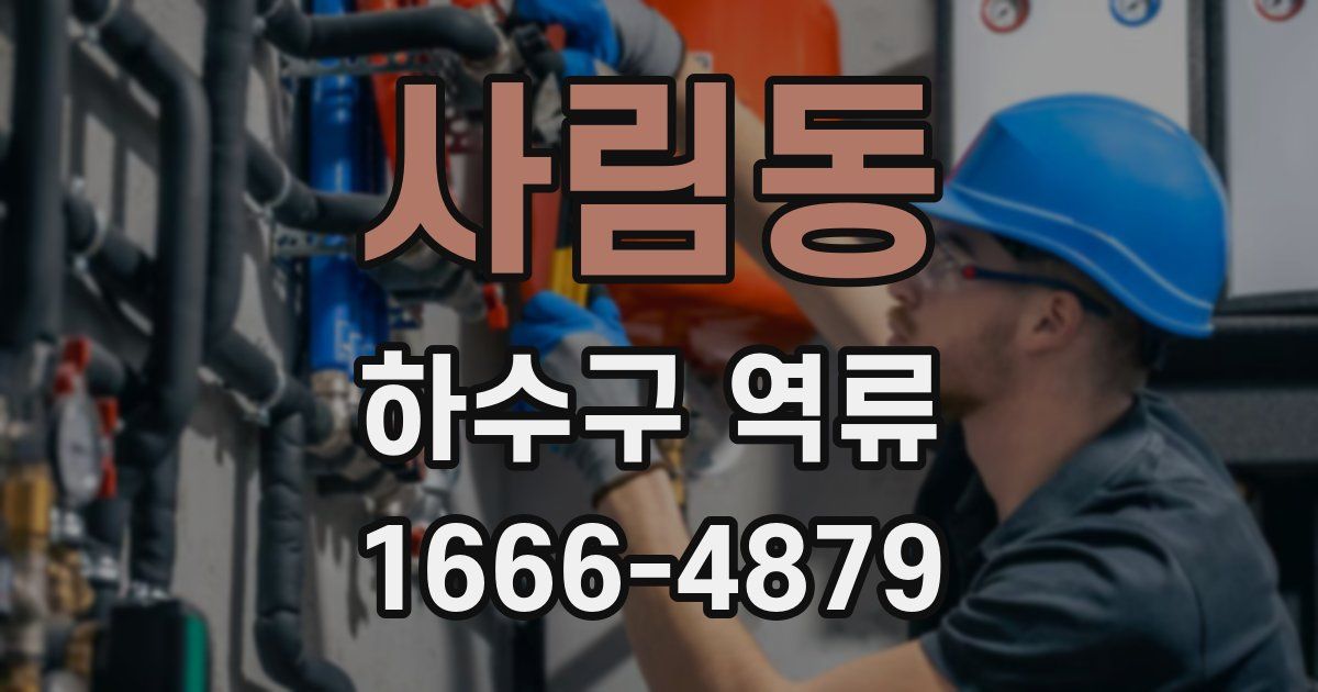 사림동 하수구 역류