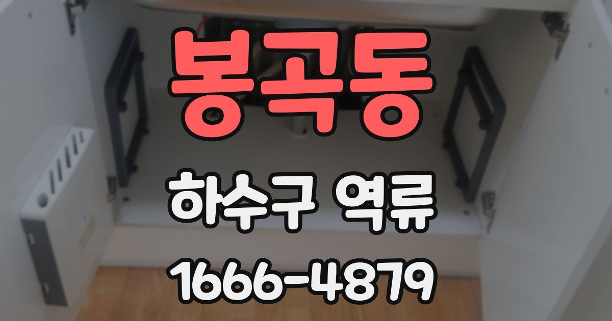 봉곡동 하수구 역류