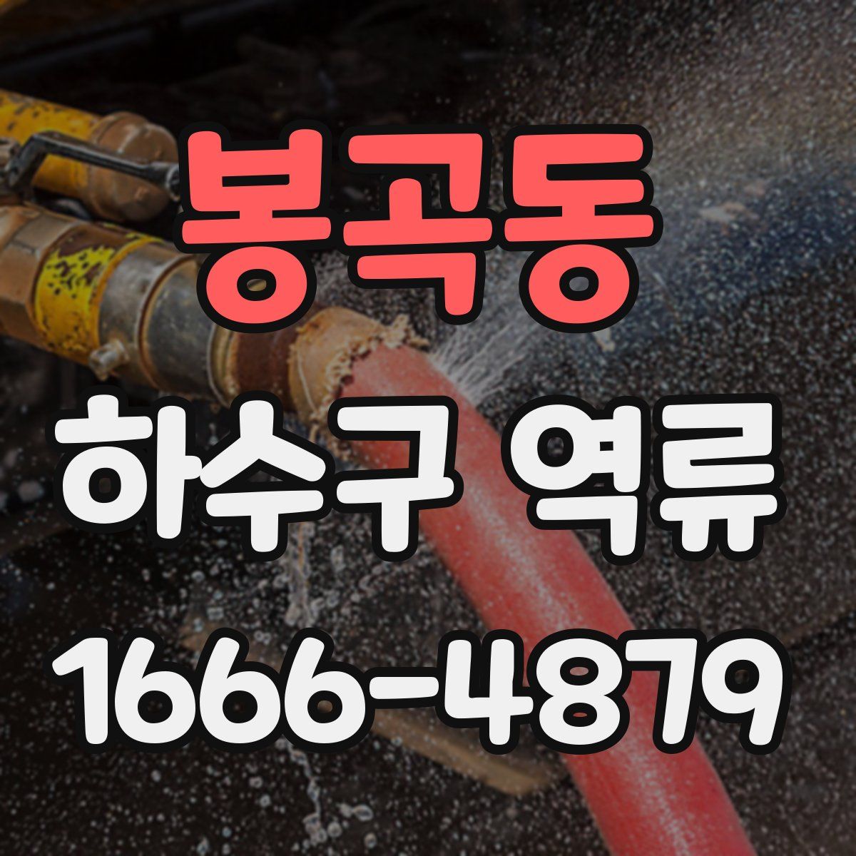 봉곡동 하수구 역류