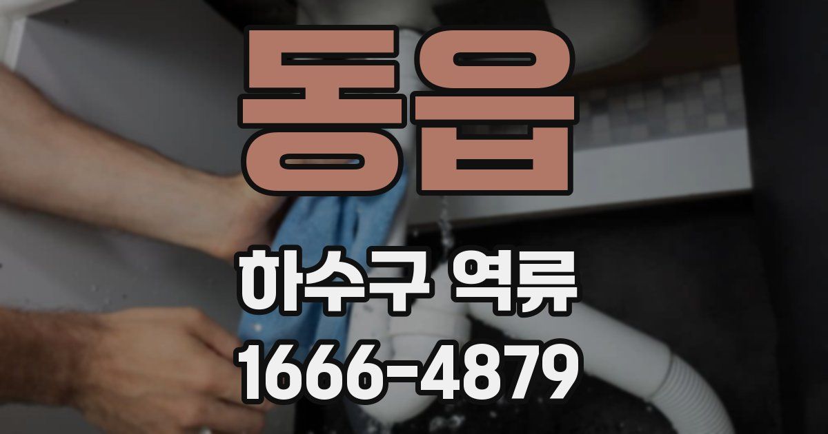 동읍 하수구 역류