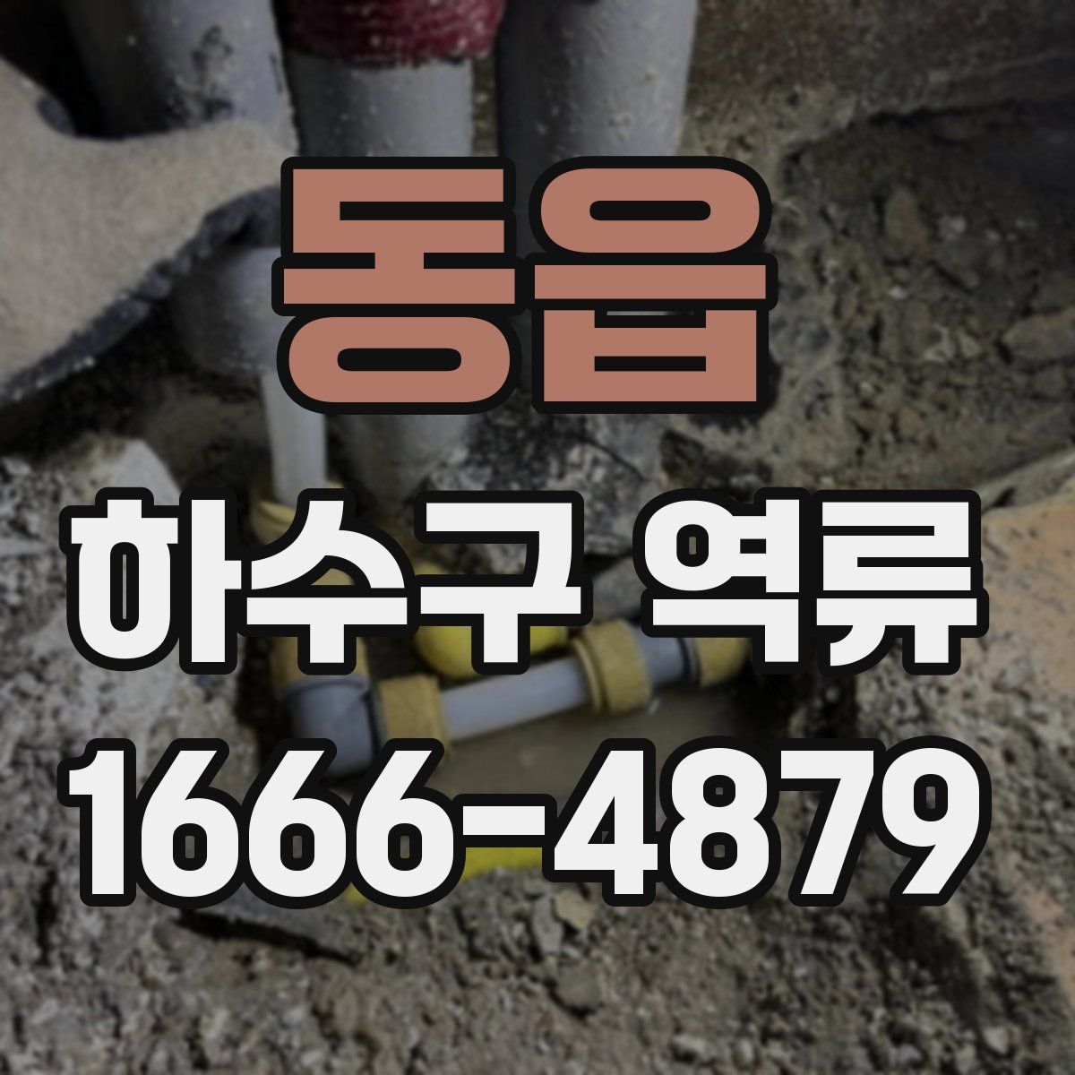 동읍 하수구 역류