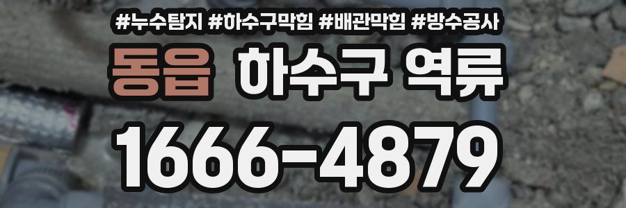 동읍 하수구 역류