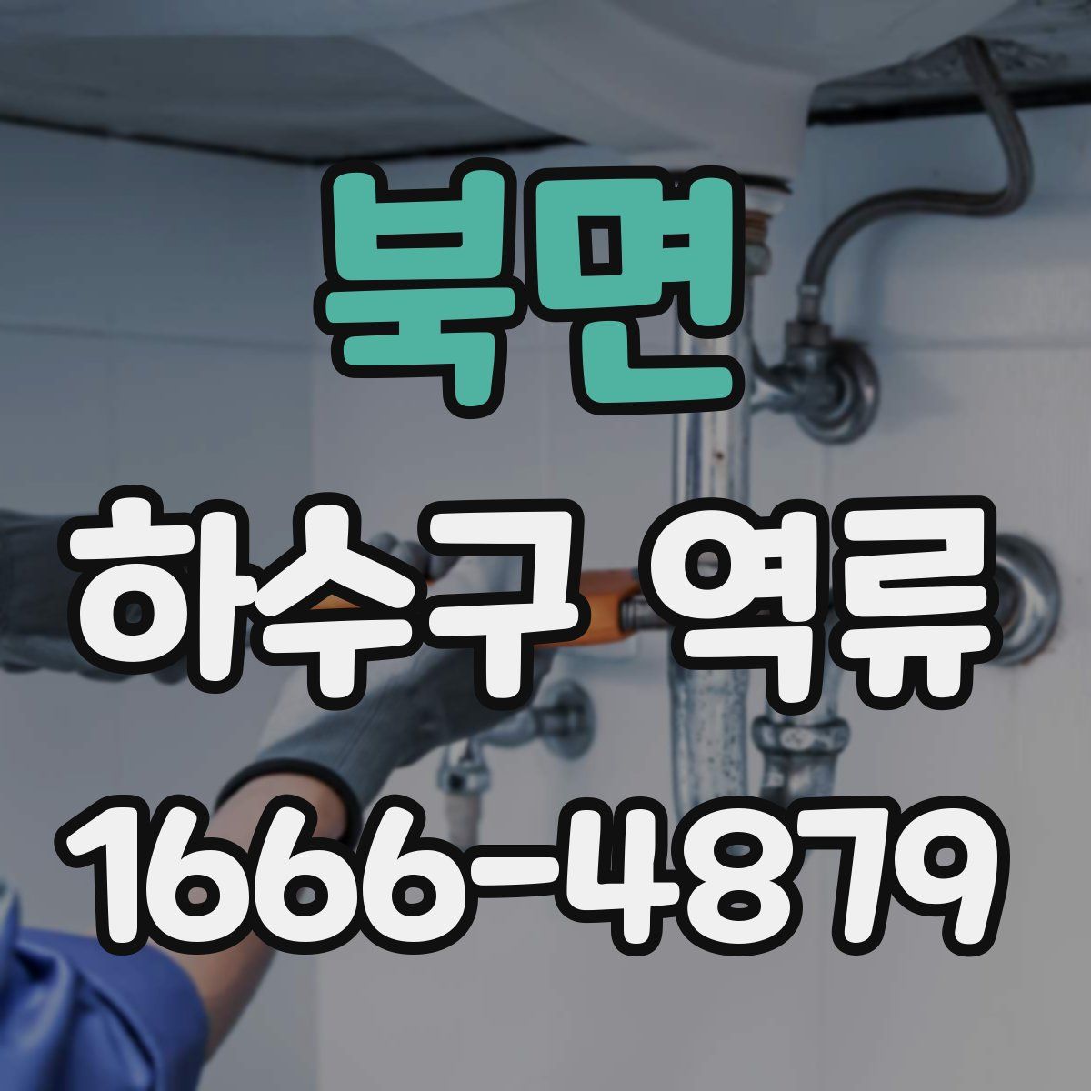 북면 하수구 역류
