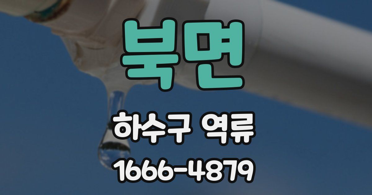 북면 하수구 역류