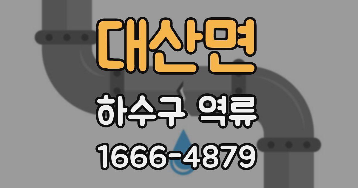 대산면 하수구 역류