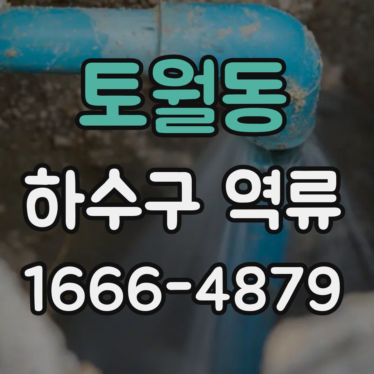 토월동 하수구 역류