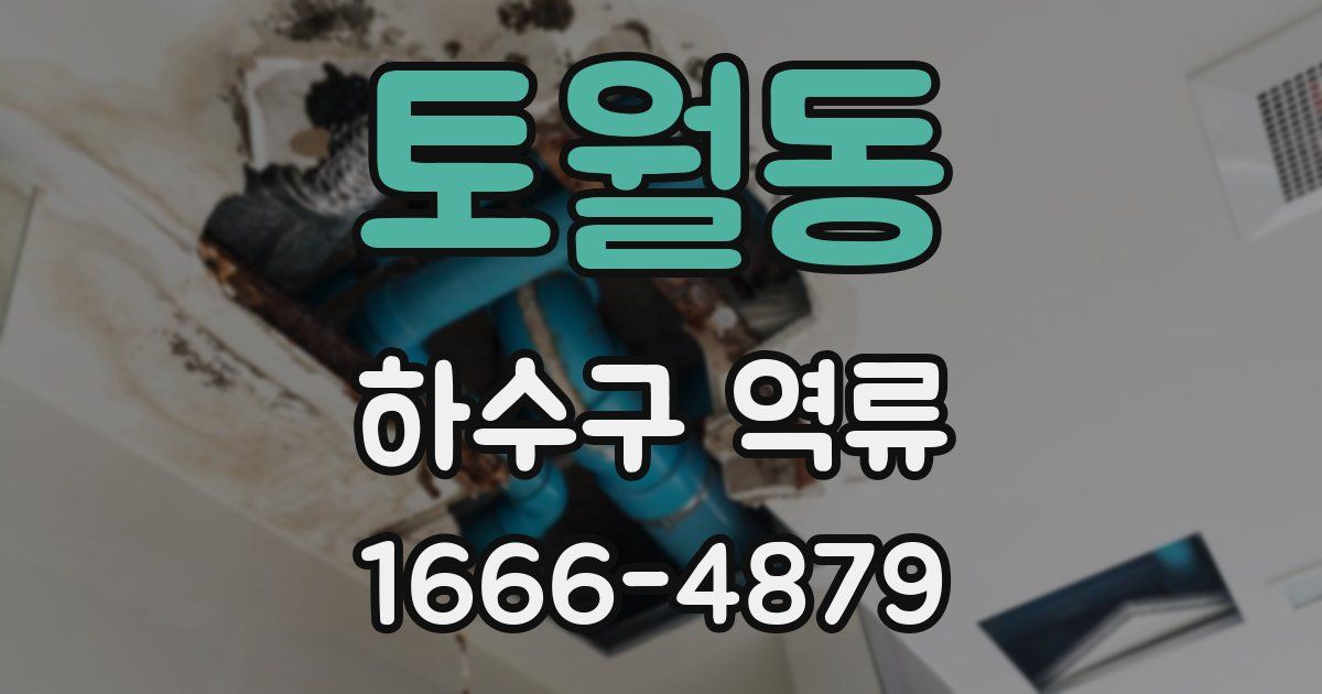 토월동 하수구 역류