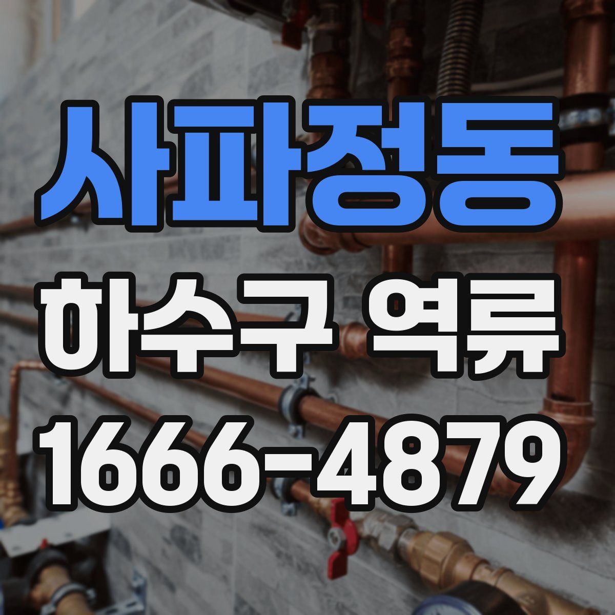 사파정동 하수구 역류