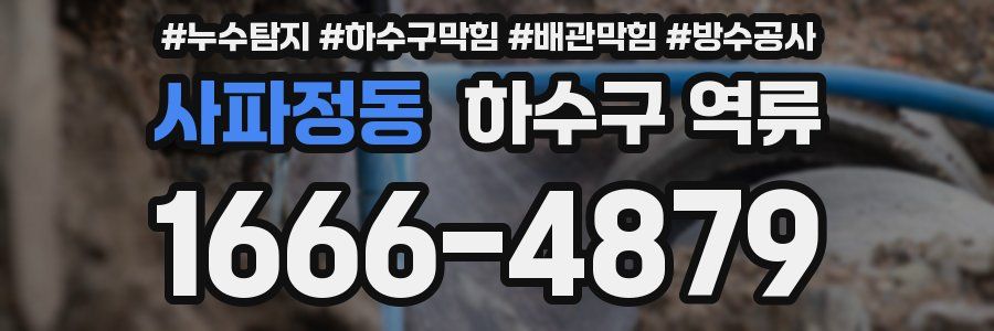 사파정동 하수구 역류