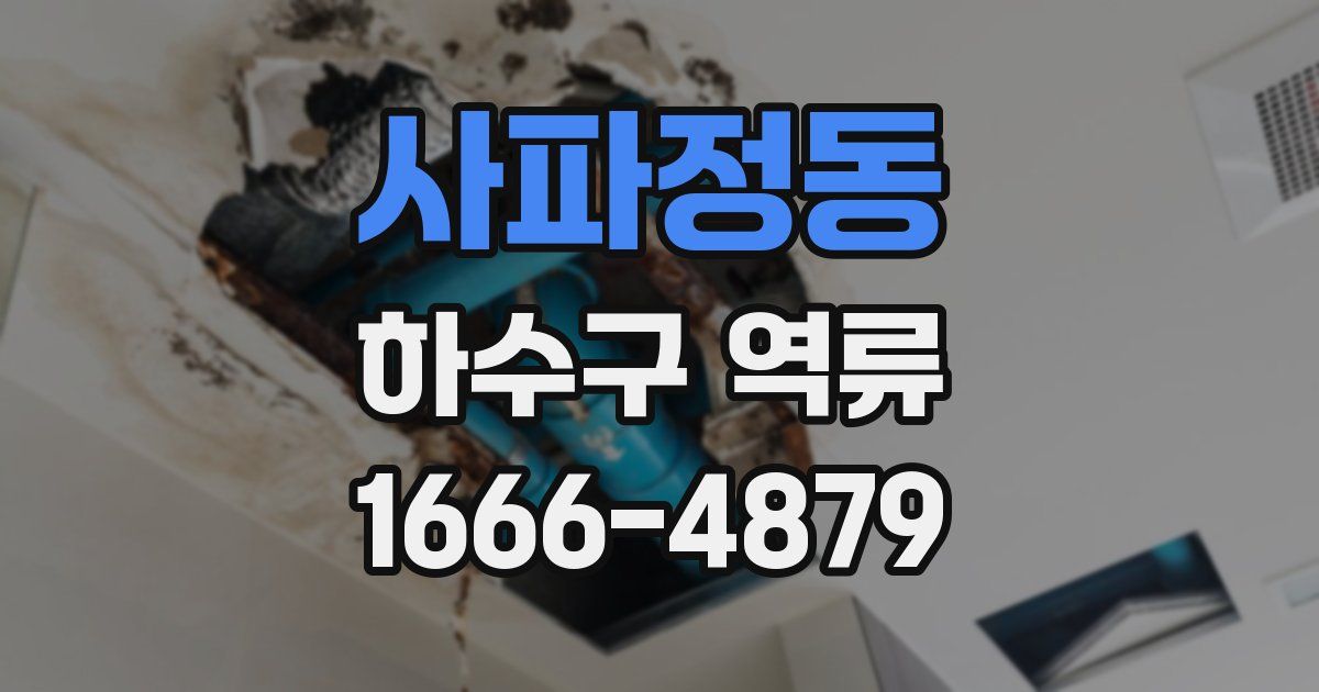 사파정동 하수구 역류