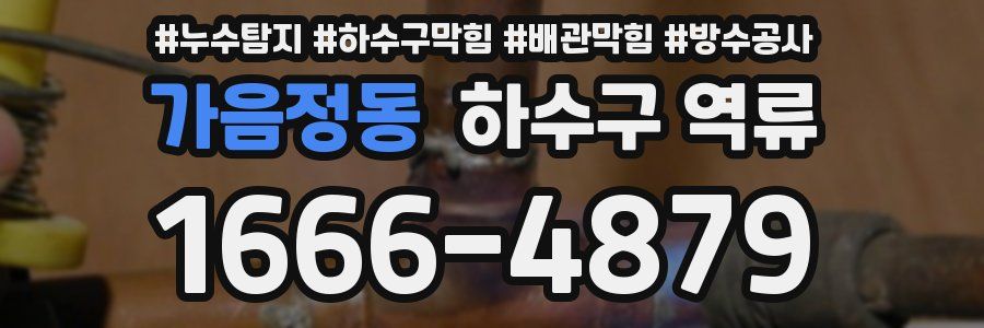 가음정동 하수구 역류