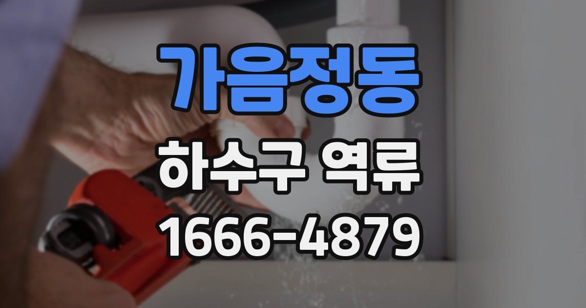 가음정동 하수구 역류