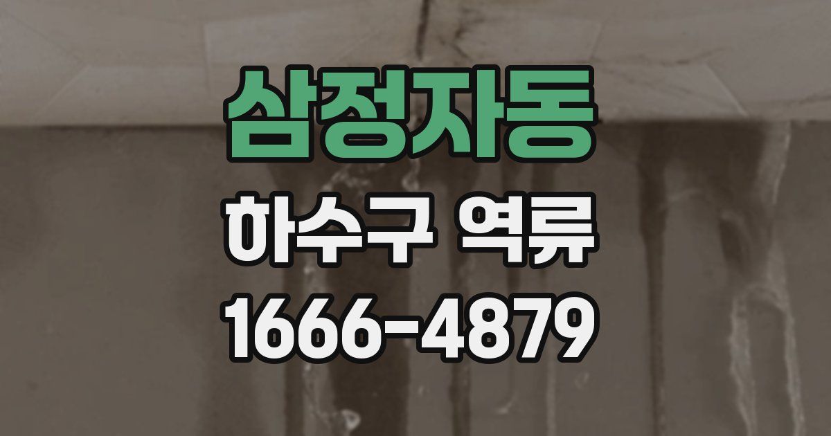 삼정자동 하수구 역류