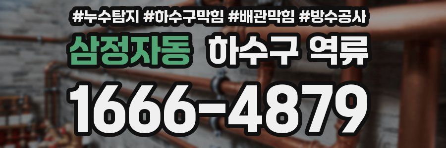 삼정자동 하수구 역류