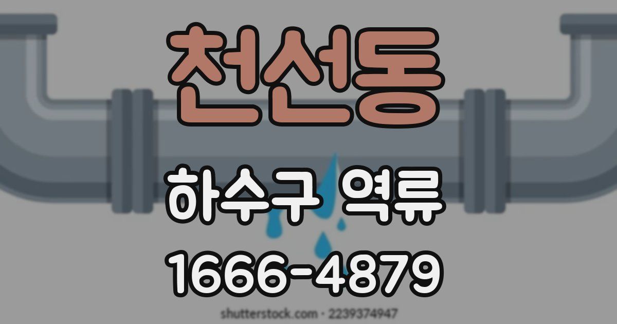 천선동 하수구 역류