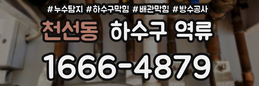 천선동 하수구 역류