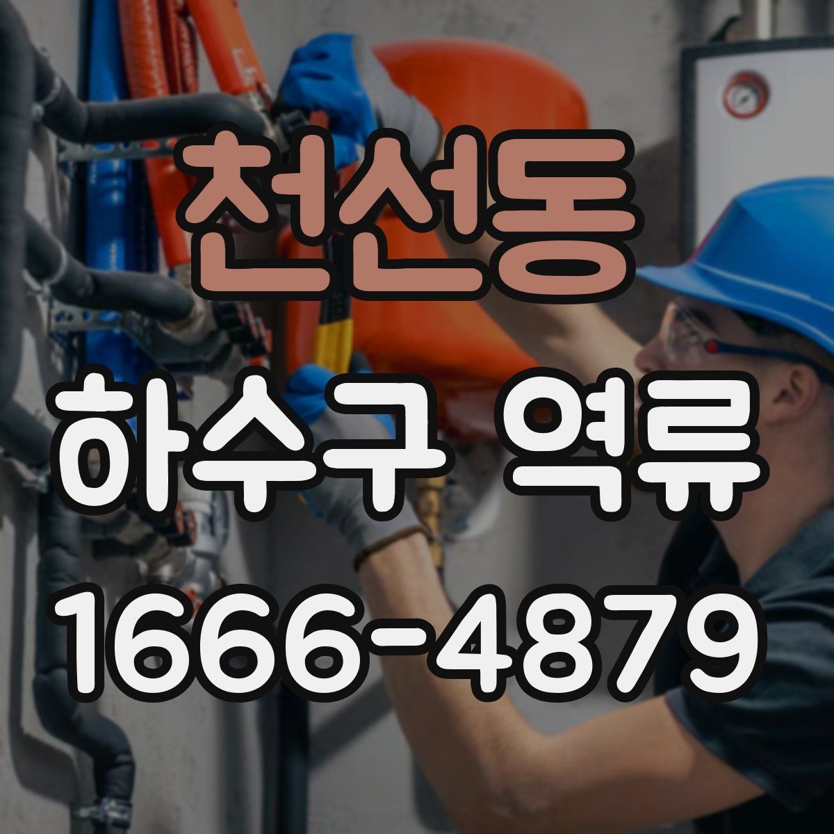 천선동 하수구 역류
