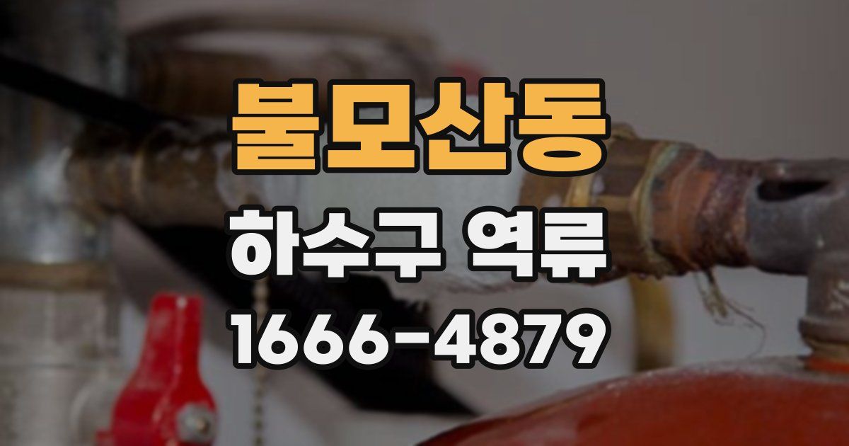 불모산동 하수구 역류