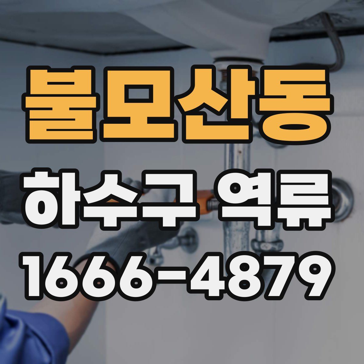 불모산동 하수구 역류