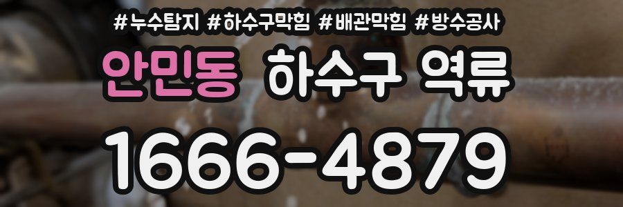 안민동 하수구 역류