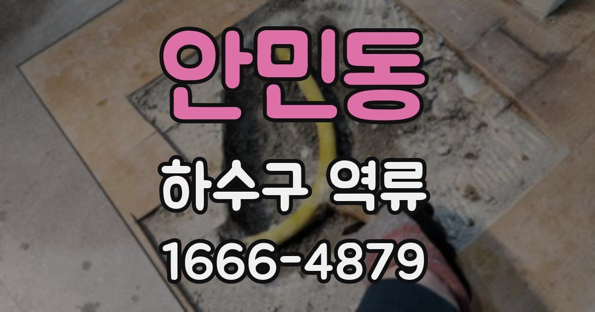 안민동 하수구 역류
