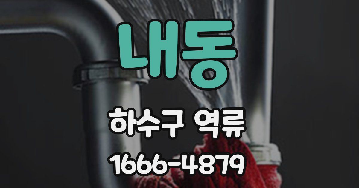 내동 하수구 역류
