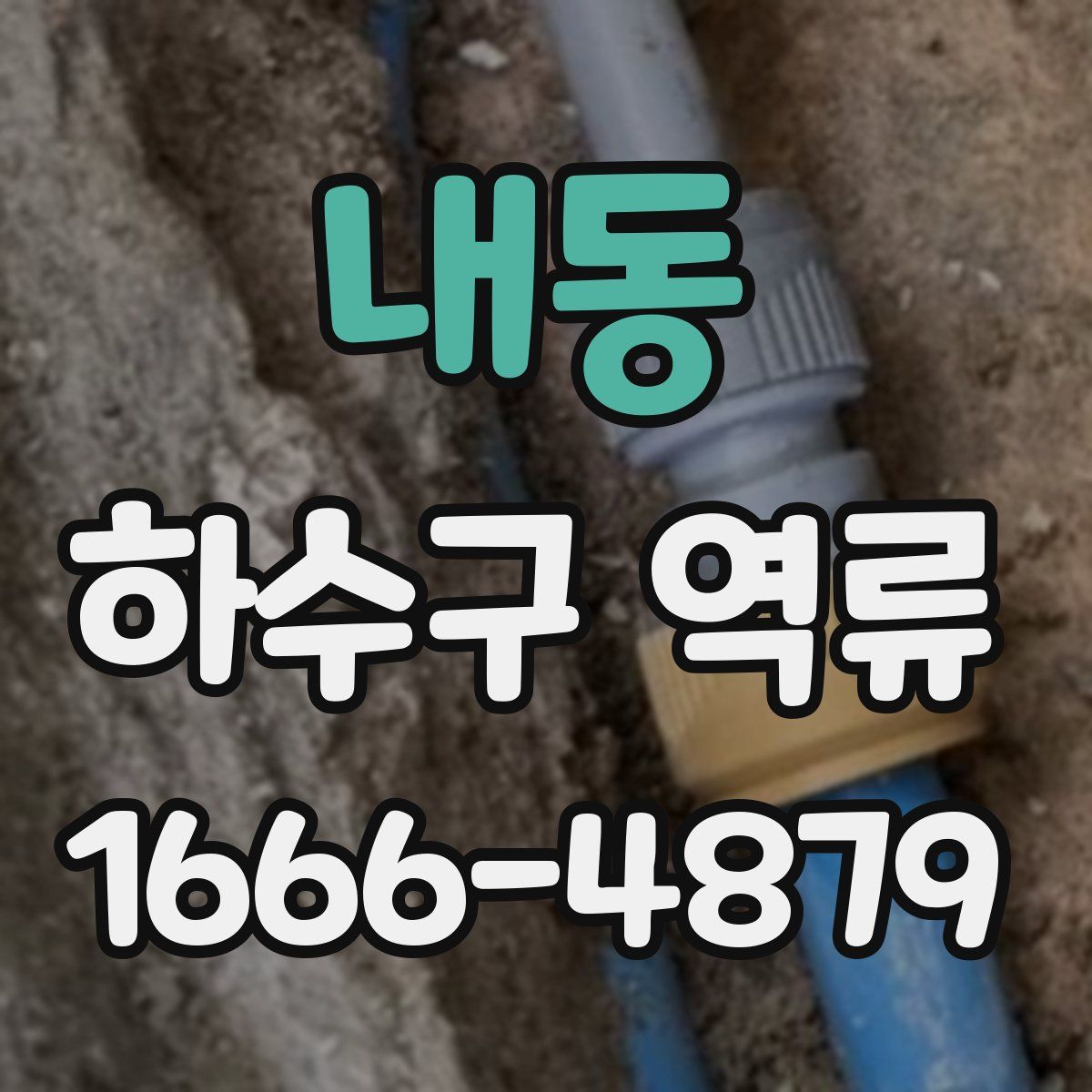 내동 하수구 역류