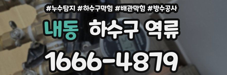 내동 하수구 역류