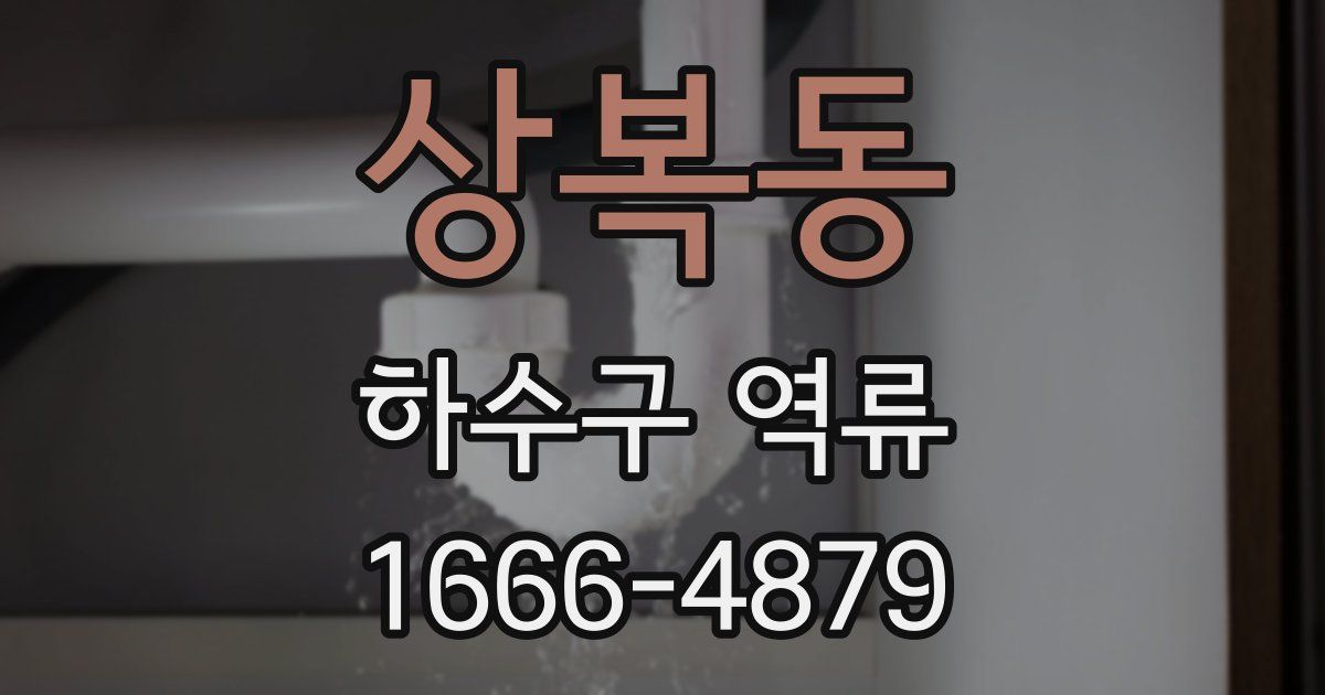 상복동 하수구 역류