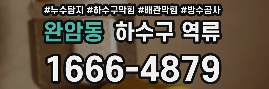 완암동 하수구 역류