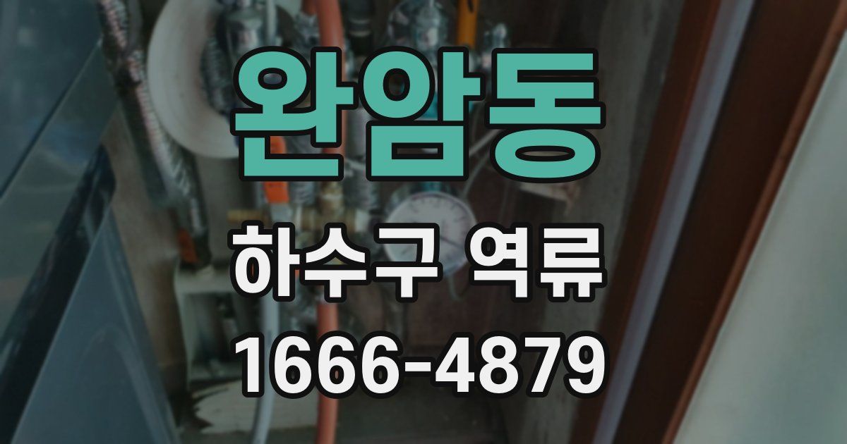 완암동 하수구 역류
