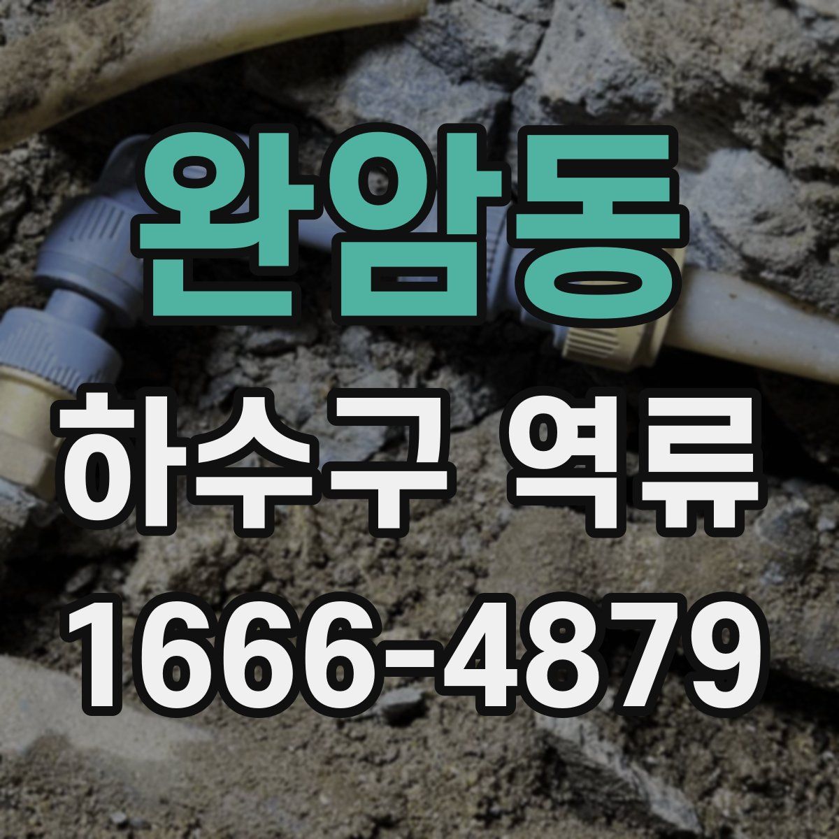 완암동 하수구 역류