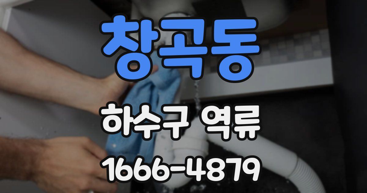창곡동 하수구 역류