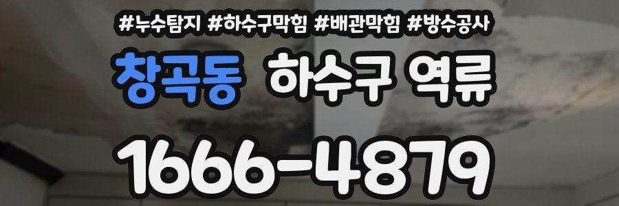 창곡동 하수구 역류