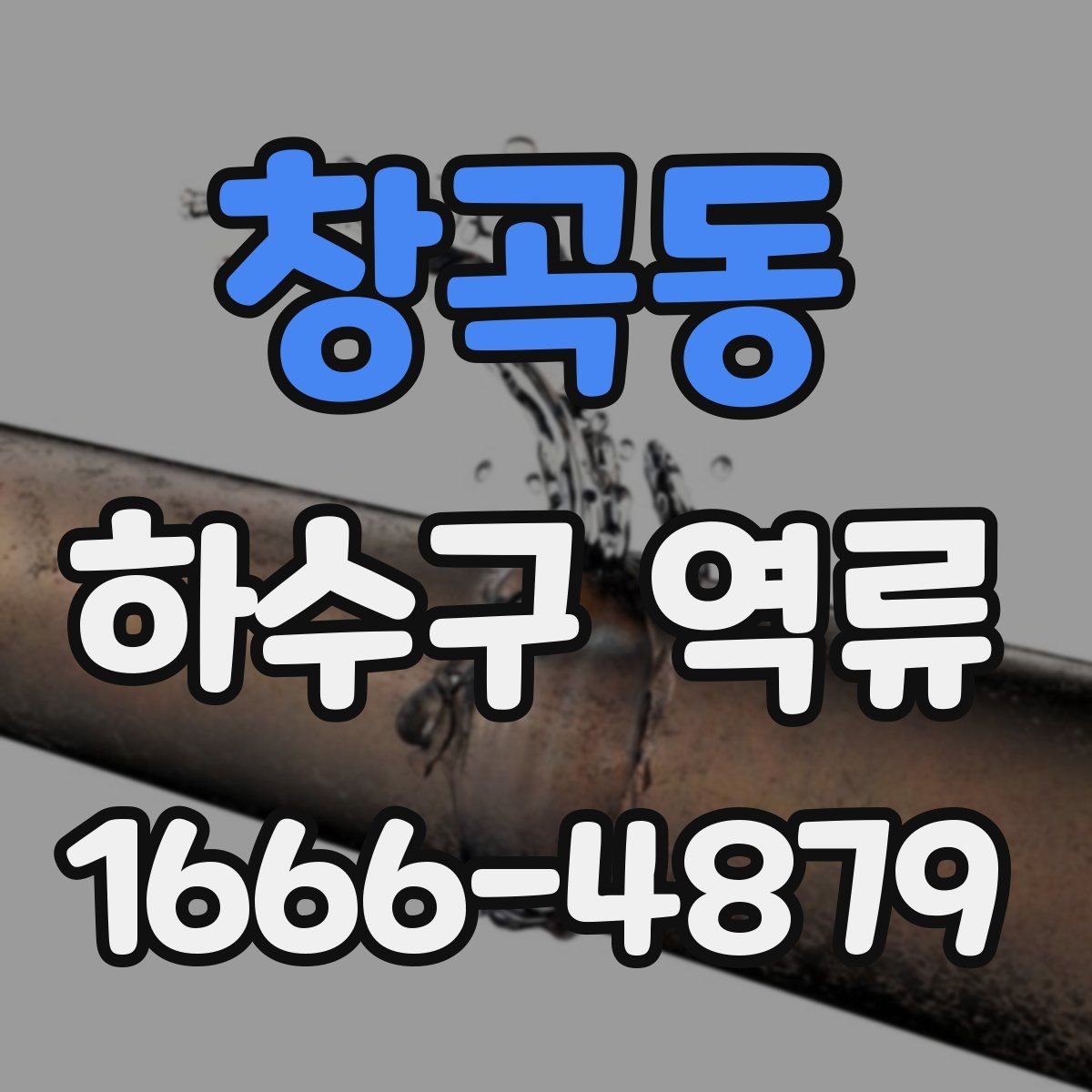 창곡동 하수구 역류