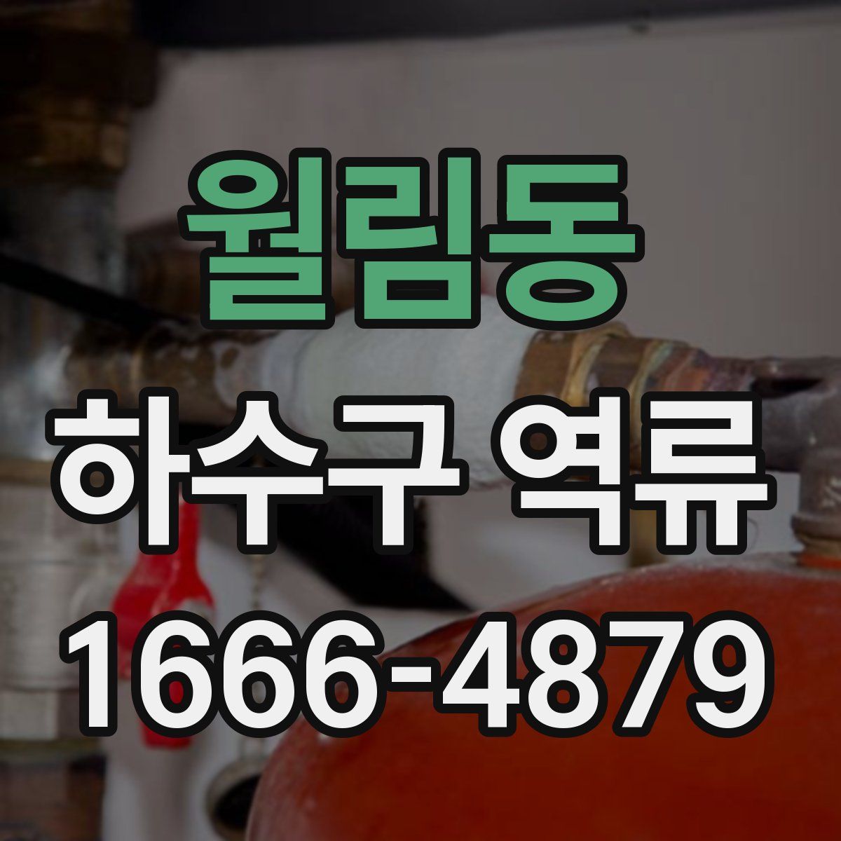 월림동 하수구 역류