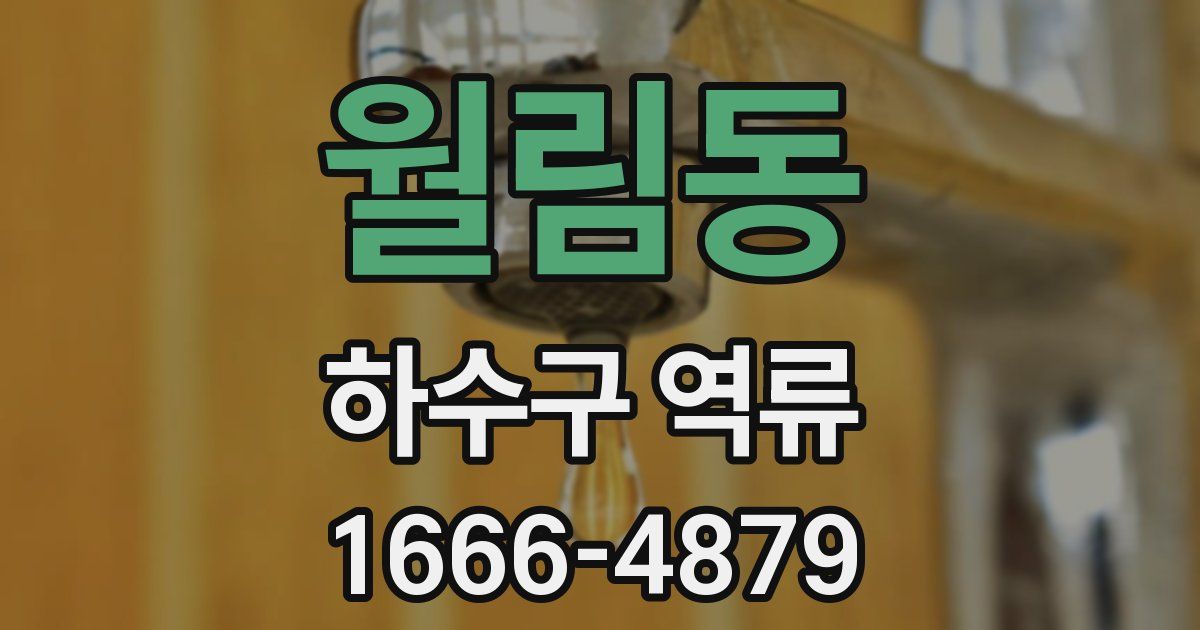 월림동 하수구 역류