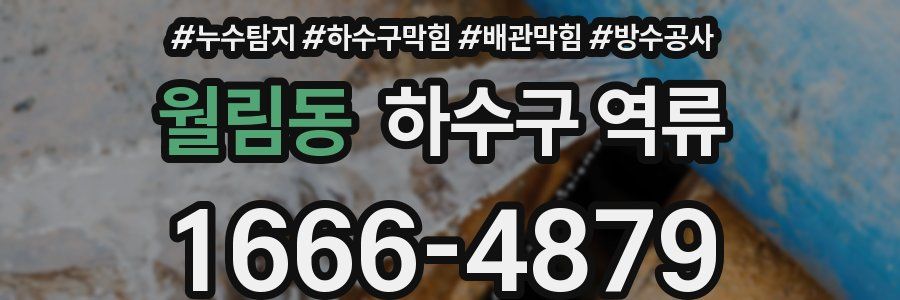 월림동 하수구 역류