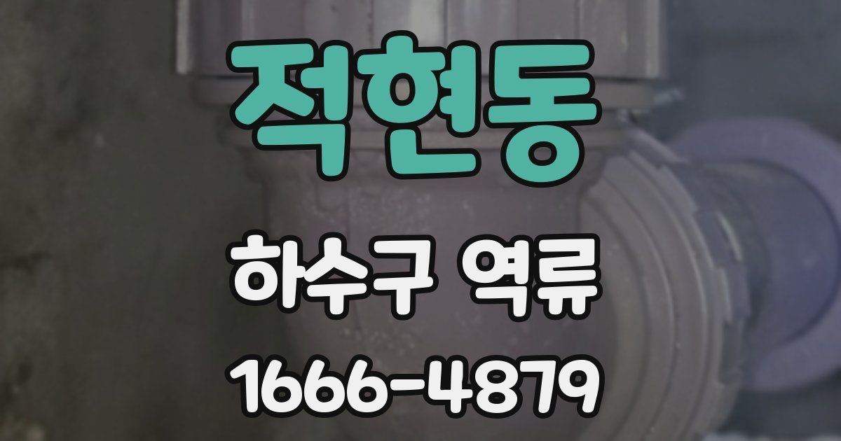 적현동 하수구 역류