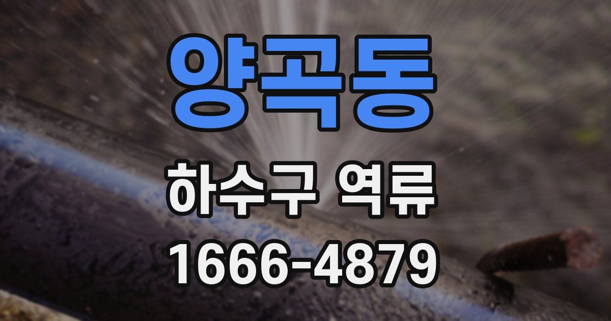 양곡동 하수구 역류