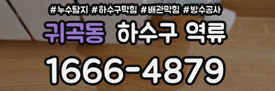 귀곡동 하수구 역류