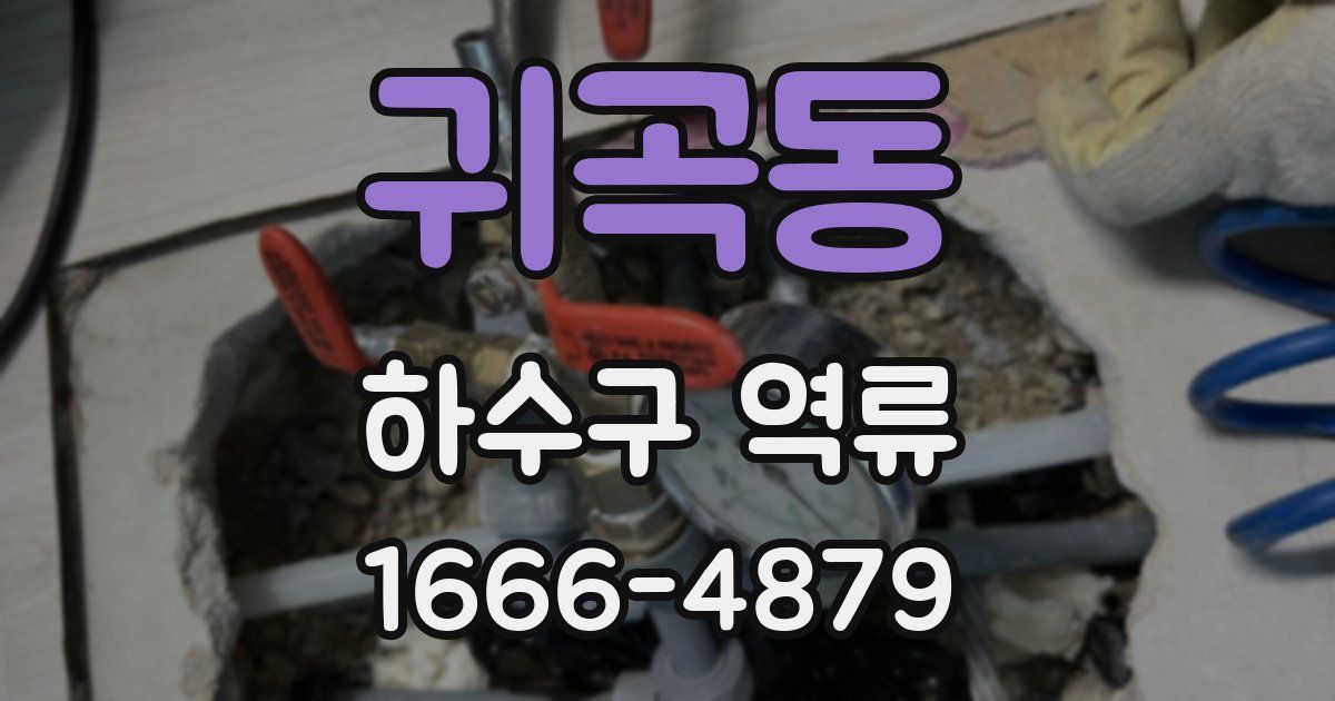 귀곡동 하수구 역류