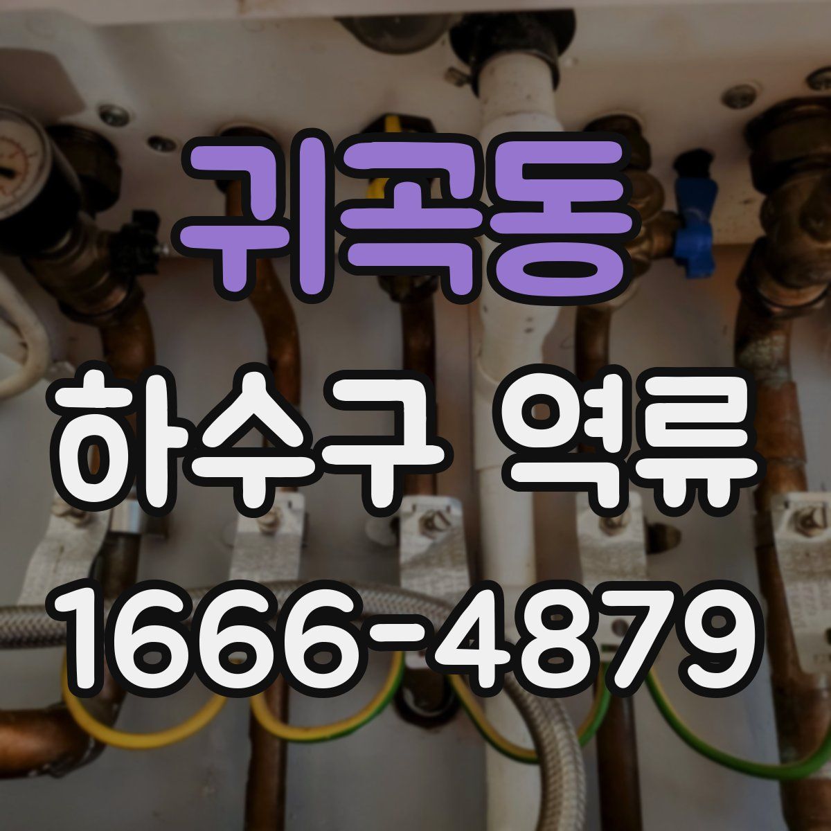 귀곡동 하수구 역류