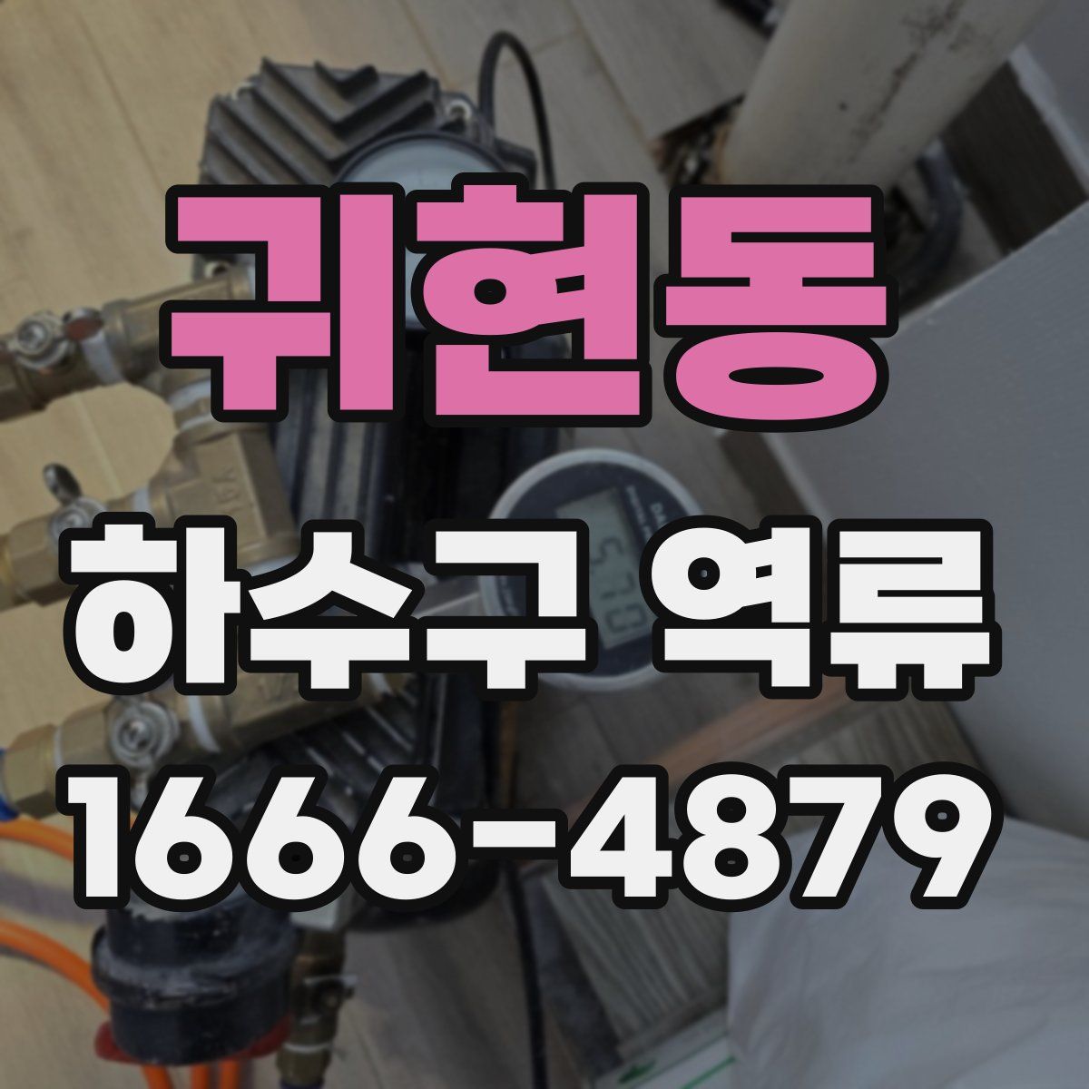 귀현동 하수구 역류