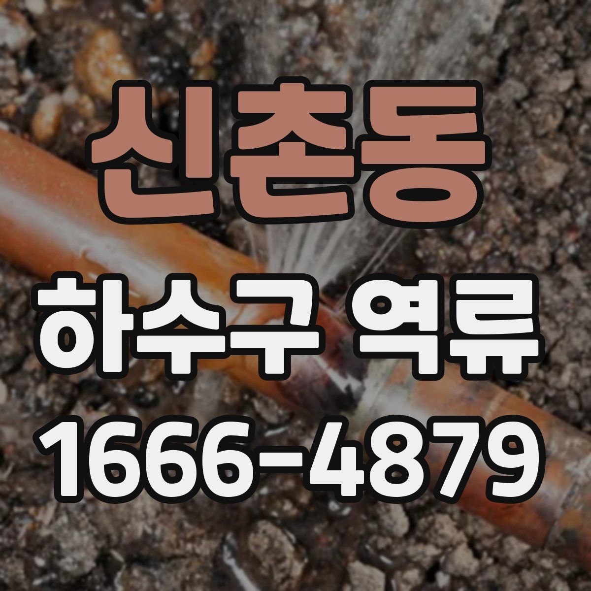 신촌동 하수구 역류